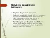 Augalų nelytinis dauginimasis 6 puslapis