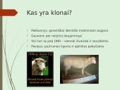 Augalų nelytinis dauginimasis 7 puslapis