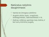 Augalų nelytinis dauginimasis 8 puslapis