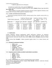 Microsoft Word: Lentelės tekstiniuose dokumentuose 6 puslapis