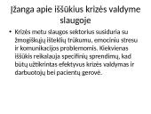 Krizės valdymas slaugoje 2 puslapis