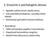 Krizės valdymas slaugoje 4 puslapis