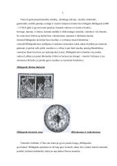 Moterys viduramžių kultūroje 5 puslapis