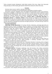 Motyvacijos ir emocijų sąsaja 3 puslapis