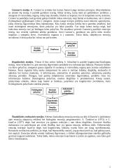 Motyvacijos ir emocijų sąsaja 5 puslapis