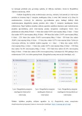 Gyvenamųjų namų modernizavimo problematika ir ypatumai 12 puslapis