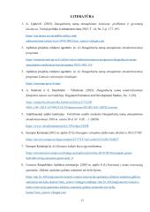 Gyvenamųjų namų modernizavimo problematika ir ypatumai 16 puslapis