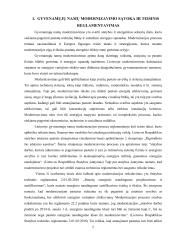 Gyvenamųjų namų modernizavimo problematika ir ypatumai 4 puslapis