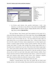 Ms Excel: duomenų sąrašai, kūrimas, apdorojimas 11 puslapis