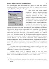 Ms Excel: duomenų sąrašai, kūrimas, apdorojimas 12 puslapis