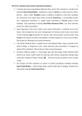 Ms Excel: duomenų sąrašai, kūrimas, apdorojimas 13 puslapis