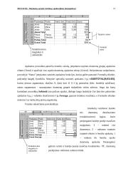 Ms Excel: duomenų sąrašai, kūrimas, apdorojimas 16 puslapis
