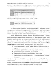 Ms Excel: duomenų sąrašai, kūrimas, apdorojimas 17 puslapis