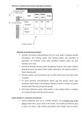 Ms Excel: duomenų sąrašai, kūrimas, apdorojimas 3 puslapis
