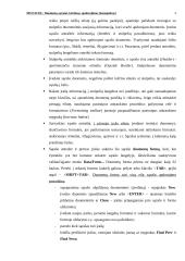 Ms Excel: duomenų sąrašai, kūrimas, apdorojimas 4 puslapis