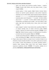 Ms Excel: duomenų sąrašai, kūrimas, apdorojimas 5 puslapis