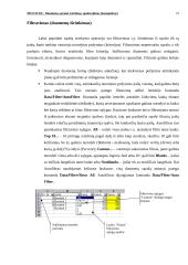 Ms Excel: duomenų sąrašai, kūrimas, apdorojimas 10 puslapis