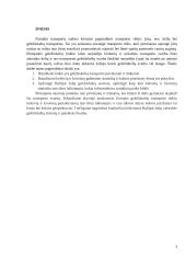 Europos geležinkeliai 2 puslapis