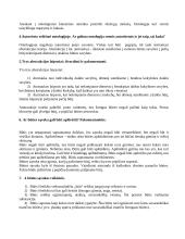 Ontologijos teorija 2 puslapis