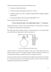 Roziere balionas 11 puslapis