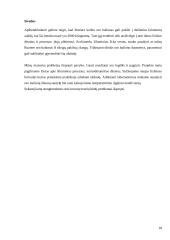 Roziere balionas 17 puslapis