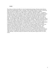 Roziere balionas 3 puslapis