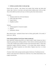 Roziere balionas 5 puslapis