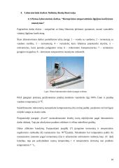 Roziere balionas 9 puslapis