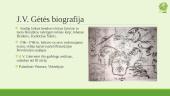 Johano Volfgango Gėtės gyvenimo ir kūrybos apžvalga 7 puslapis