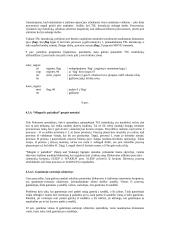 Operacinė sistema 13 puslapis