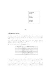 Operacinė sistema 5 puslapis