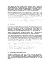 Operacinė sistema 10 puslapis