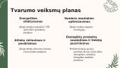 „Tilia“ Grožio ir SPA centras 11 puslapis