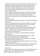 Operacinių sistemų klasifikacija 4 puslapis