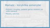 Mamatės paveikslo prezentacija 6 puslapis