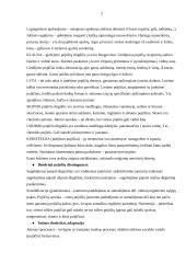Pažinimo psichologija 2 puslapis