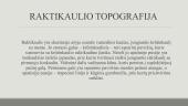 Viršutinių galūnių kaulų radiologinė ir topografinė anatomija 4 puslapis