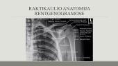Viršutinių galūnių kaulų radiologinė ir topografinė anatomija 6 puslapis