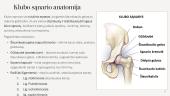 Rentgenologinis klubo sąnario ir šlaunikaulio tyrimas 3 puslapis