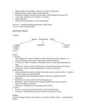 Pirmosios civilizacijos 3 puslapis