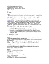 Pirmosios civilizacijos 6 puslapis