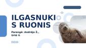 Ilgasnukis ruonis