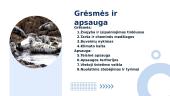 Ilgasnukis ruonis 7 puslapis
