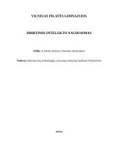 Dirbtinio intelekto naudojimas