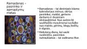 Skaidrės apie islamo religiją 5 puslapis