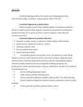 Praktika geodezijos įmonėje 2 puslapis