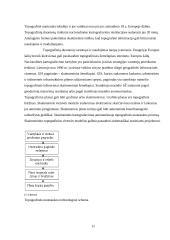 Praktika geodezijos įmonėje 10 puslapis