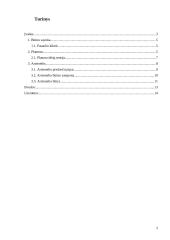 Platono ir Aristotelio būties sampratos 2 puslapis