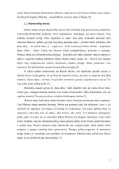 Platono ir Aristotelio būties sampratos 7 puslapis