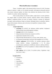 Plieno klasifikavimas bei žymėjimas 2 puslapis